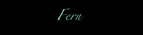 13-Fern