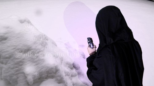 shadie story 2 dramatis personae (w watermark)