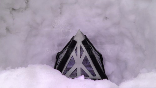 shadie story 2 main image (w watermark)