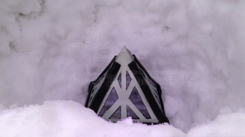 shadie story 2 main image (w watermark)